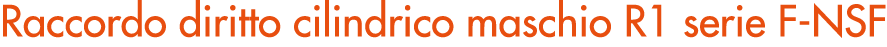Raccordo diritto cilindrico maschio R1 serie F NSF