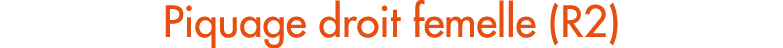 Piquage droit femelle (R2)